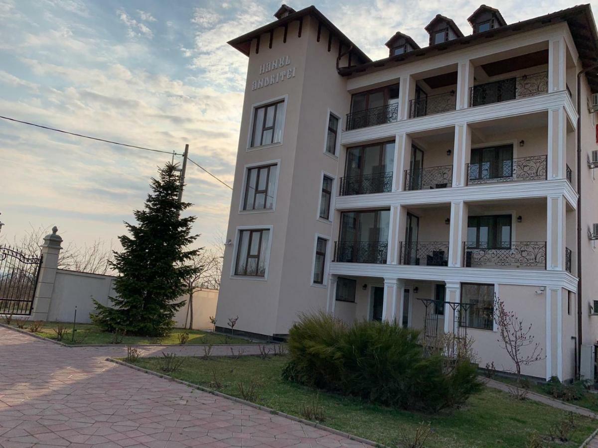 Pension Hanul Andritei Craiova Kültér fotó